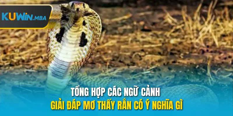 Tổng hợp các ngữ cảnh giải đáp mơ thấy rắn có ý nghĩa gì